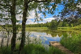 Riedsee lakeside landscape with wooden footbridge in Wurzacher Ried by BlattArt - Christine Horn