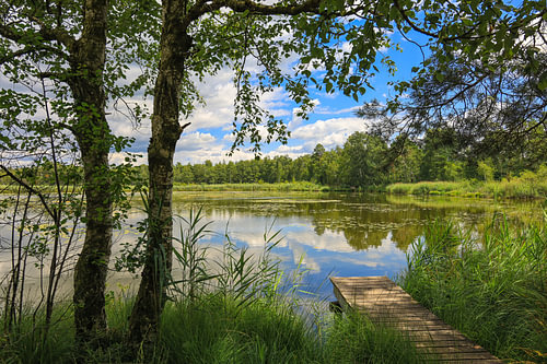 Riedsee merenlandschap met houten loopbrug in Wurzacher Ried