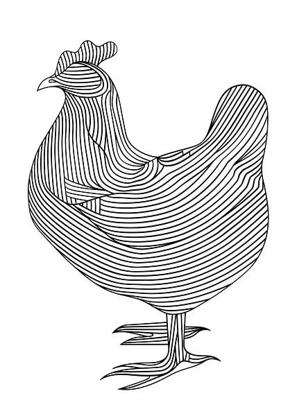 Lines art animal chicken by JBJart Justyna Jaszke