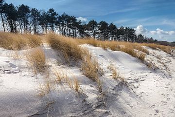 Dünen am Strand von Zingst im Winter von Christian Müringer