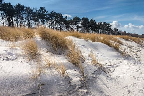 Duinen aan het strand van Zingst in de winter