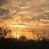 Zonsopkomst met bijzondere lucht van Louise Poortvliet