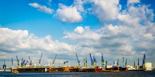 Panorama haven van Hamburg met kranen en droogdokken