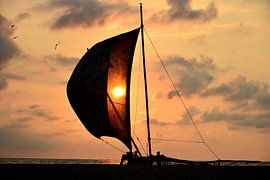 Sri Lanka - Sonnenuntergang in Negombo