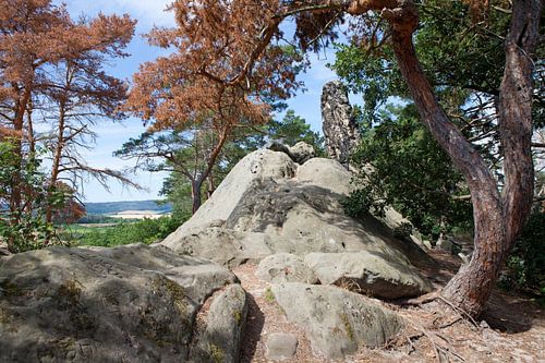 Duivelsmuur bij Blankenburg (Harz) in Saksen-Anhalt
