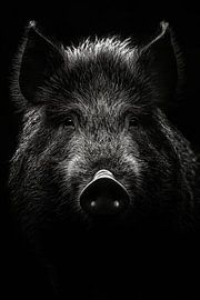 Wild boar by Poster Art Shop