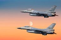 F-16 Fighting Falcon van Gert Hilbink thumbnail