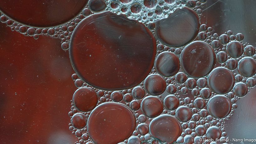 Circles by www.narro-imago.nl