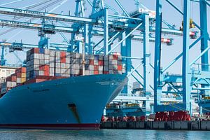 Estelle Maersk ein Containerschiff wird im Hafen von Rotterdam entladen