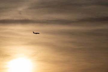 Gouden sereniteit: Vlucht bij zonsondergang | Minimalisme van Ylenia Di Pietra