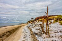 Het Darss weststrand in de winter