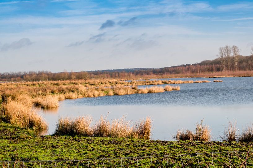 soothing nature Netherlands Limburg by Rene Wassenbergh