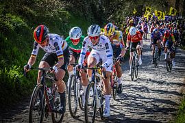 Tour des Flandres - Koppenberg (femmes) sur FreddyFinn