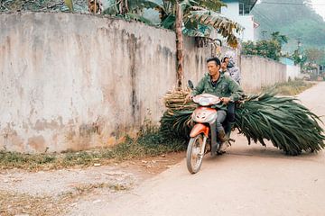 Transport in Vietnam by Nicole Boekestijn