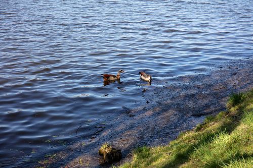 Impressies van het Baldeney-meer in Essen, Duitsland