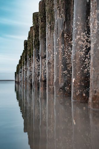 Stapelköpfe am Strand von Zeeland