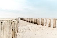 Palen op het strand - Domburg - Zeeland
