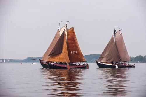 Botters op het water