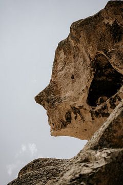 Face-shaped rocks