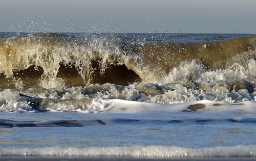 Wave