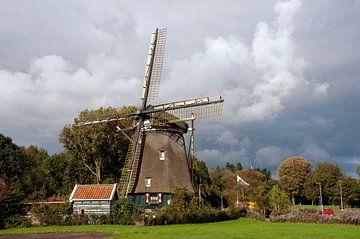 Amsterdam Mühle "die Rieker" von Richard Wareham