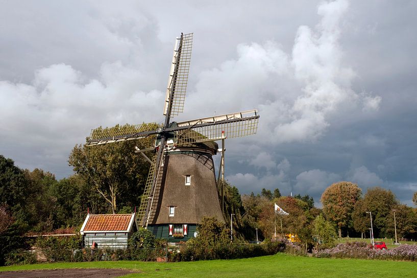 Amsterdam Mill &quot;the Rieker&quot; by Richard Wareham