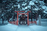 Klein altaar met een torii poort en lampje van Mickéle Godderis thumbnail