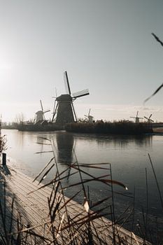 Kinderdijk Niederlande Blick auf Windmühlen