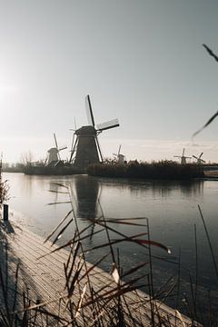 Kinderdijk Nederland uitzicht op molens