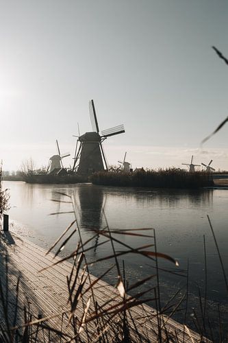 Kinderdijk Niederlande Blick auf Windmühlen von Jeanine Verbraak
