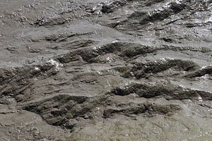 Marée basse &amp ; Marée haute