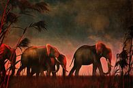 Tierreich  – Elefanten laufen gemeinsam zu ihrem Wasserloch von Jan Keteleer Miniaturansicht
