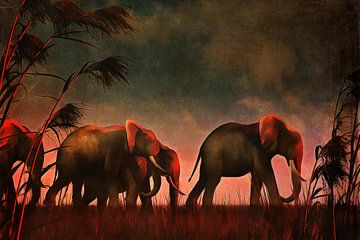 Règne animal –  Les éléphants marchent ensemble jusqu'à leur point d'eau