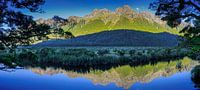 Mirror Lake in Fiordland, Nieuw Zeeland van Rietje Bulthuis thumbnail