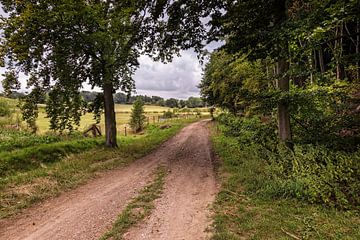 Sandstraße in Bemelen von Rob Boon