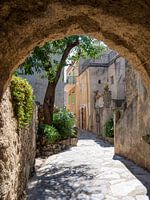 Monticello - Corsica