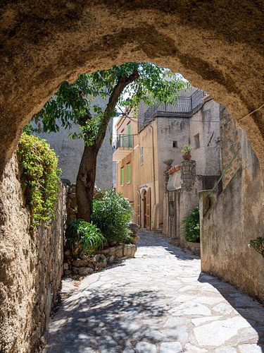 Monticello - Korsika