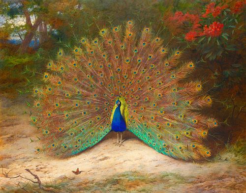 Archibald Thorburn. Pauw  en vlinder