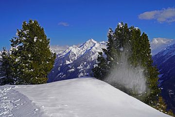 Winterwandeling in de Tuxer Alpen in Oostenrijk van Babetts Bildergalerie