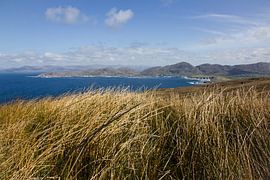 The Beara Way, Ierland sur Johnny van der Leelie