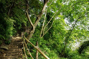 Jungle in Ao Nang, Thailand van Kelly Baetsen