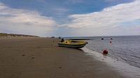 Texel