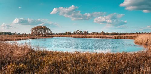 Panorama in de Rieselfelder Münster