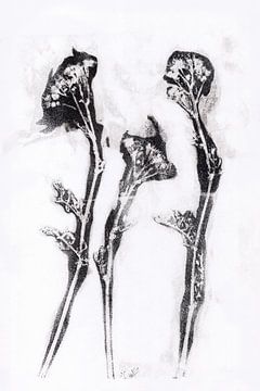 Black flowers  in retro style. Modern botanical minimalist art in black and white. by Dina Dankers
