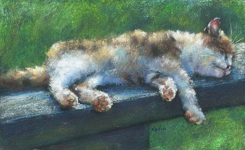 Kat dut in de zon Pastel schilderij