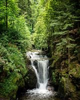 Geraldsauer waterval in het Zwarte Woud
