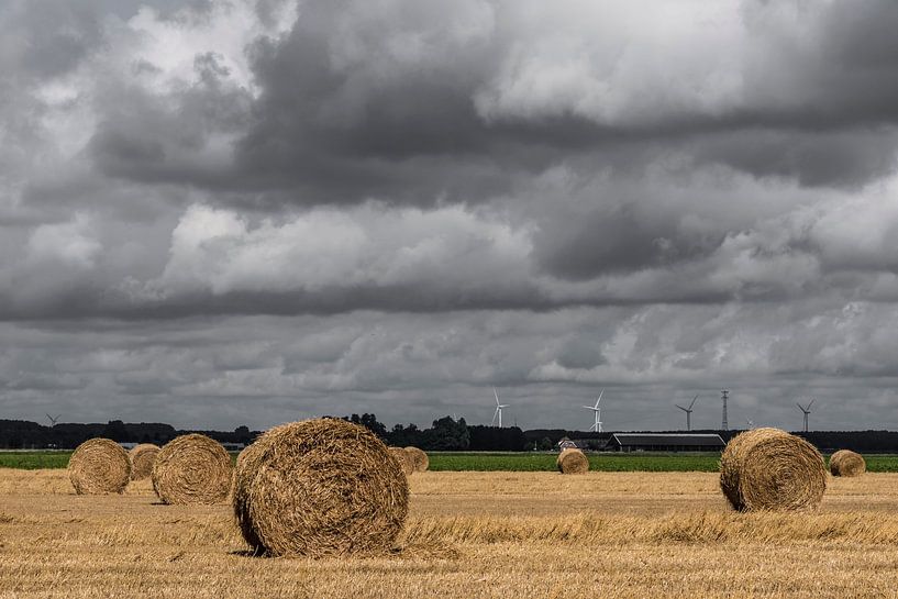 Rouleaux de paille dans un champ avec de beaux nuages par Ans Bastiaanssen