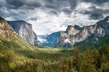 Yosemite National Park (USA) von Frank Lenaerts
