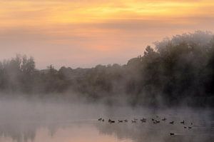 Mystique Sunrise
