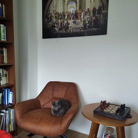 Customer photo: The School of Athens, Raphael, on canvas